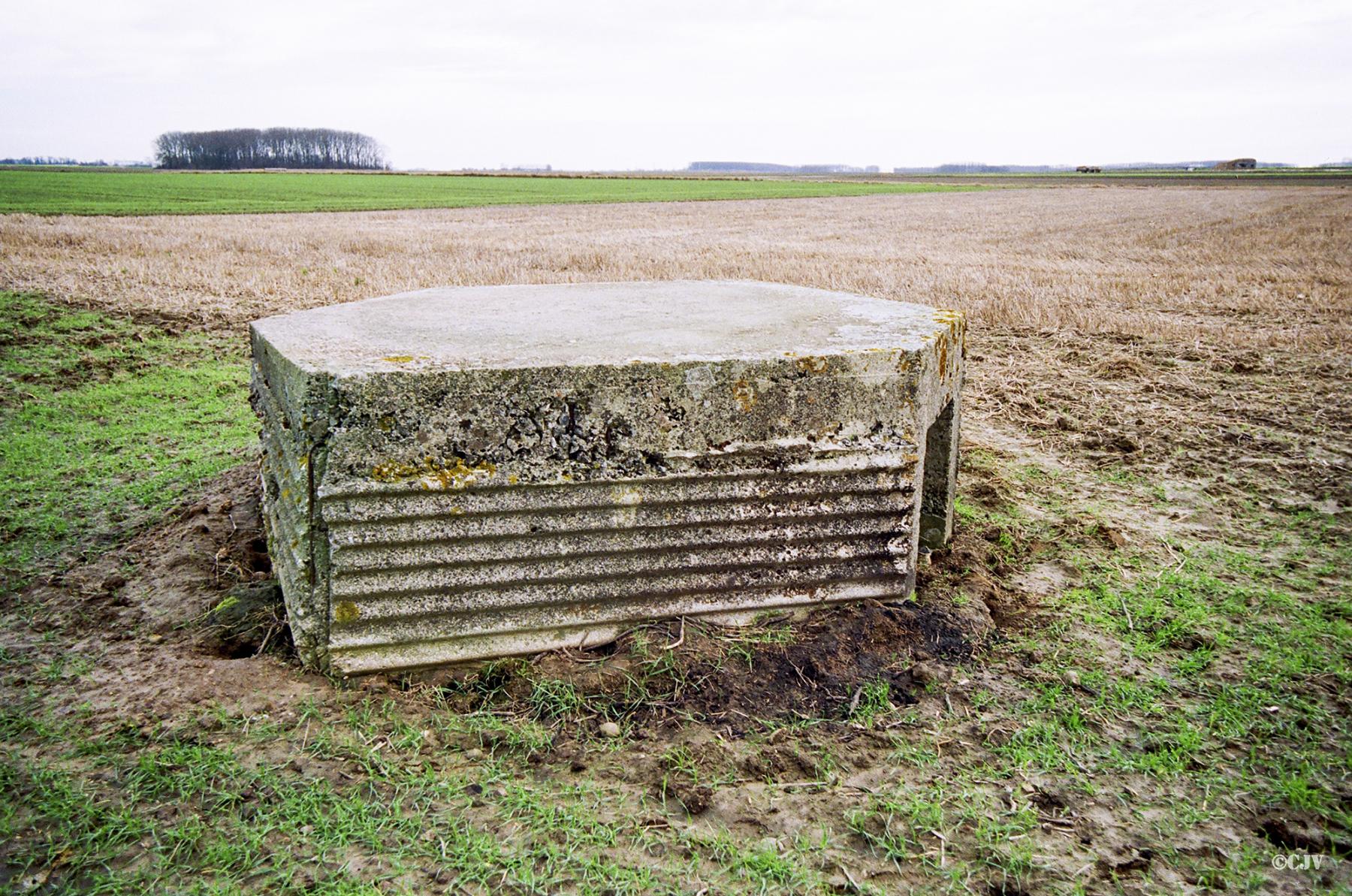 Ligne Maginot - BEF 659 - L'ARBRE - (Blockhaus de type indéterminé) -  - Caspar Vermeulen