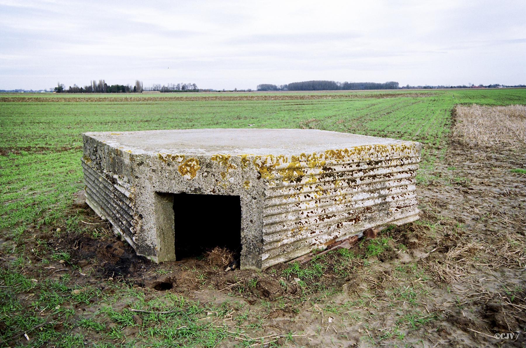 Ligne Maginot - BEF 659 - L'ARBRE - (Blockhaus de type indéterminé) -  - Caspar Vermeulen