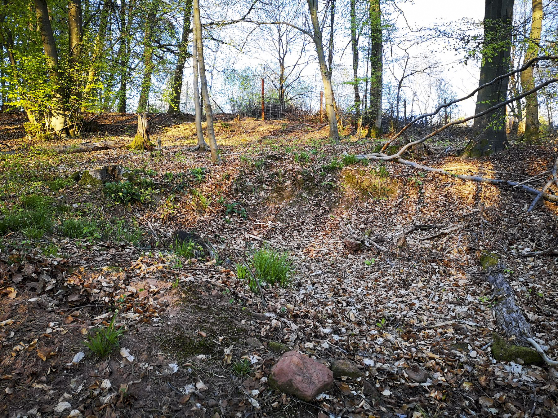 Ligne Maginot - WASSERLOCH - (Position d'artillerie préparée) - Un des emplacements probables de pièces - DK_Antoine4