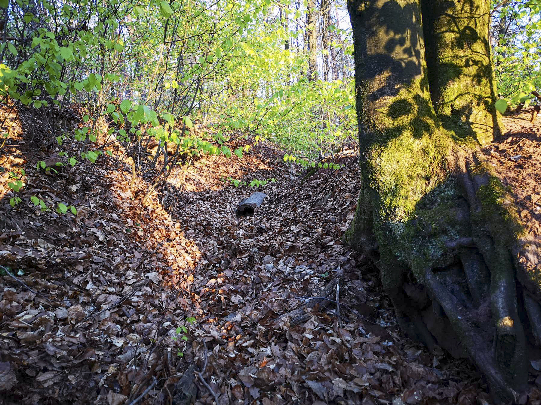 Ligne Maginot - WASSERLOCH - (Position d'artillerie préparée) - Réseaux de tranchées à l'Est des positions de pièces - DK_Antoine4