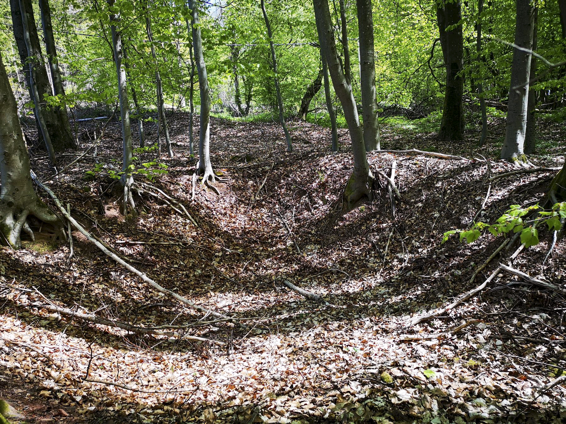 Ligne Maginot - SAUECK - (Position d'artillerie préparée) - Encuvement, Position probable des pièces - DK_Antoine4