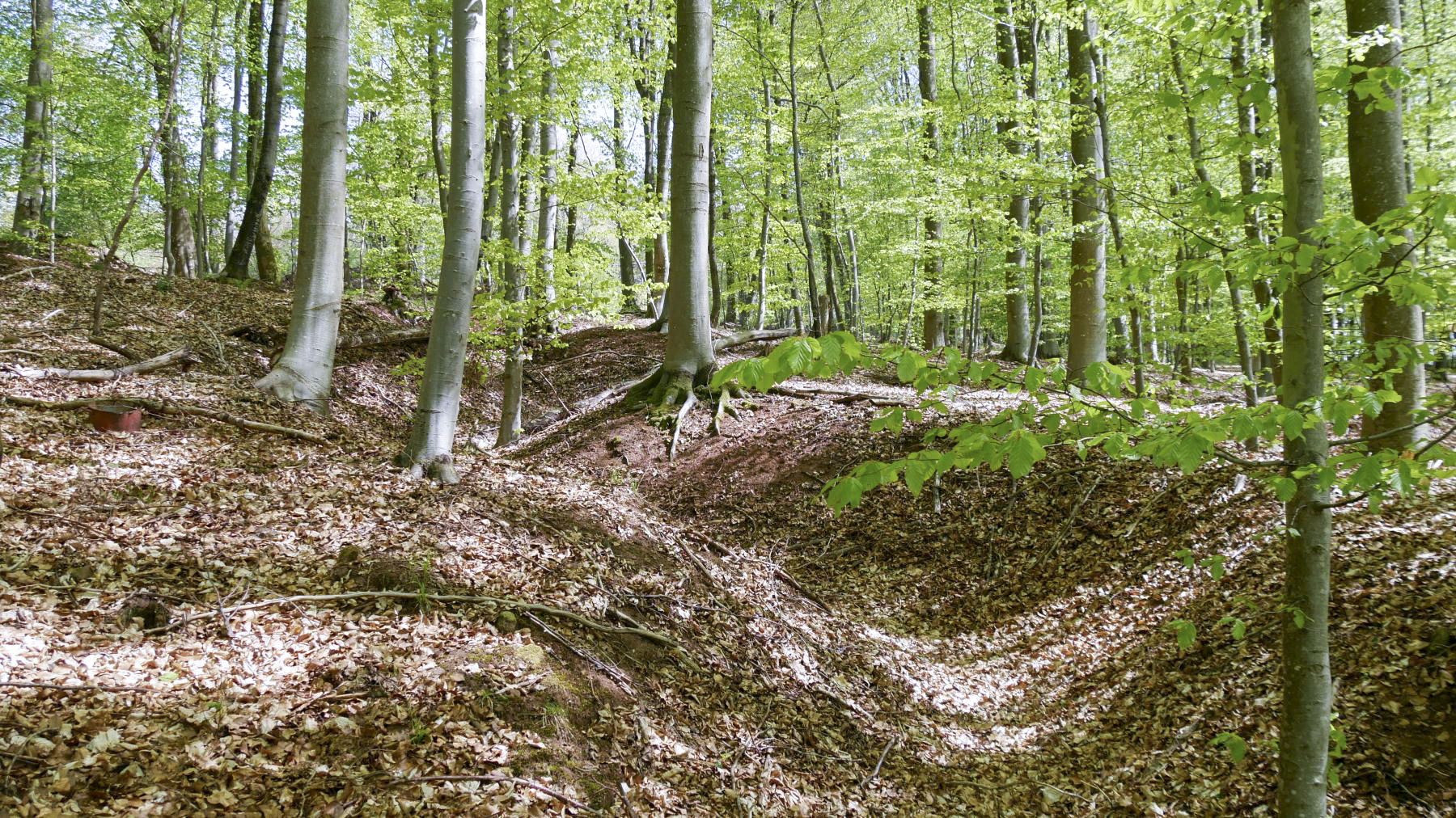 Ligne Maginot - SAUECK - (Position d'artillerie préparée) - Réseau de tranchées entre les positions des pièces et les abris en contrebas - Quentin Hiegel