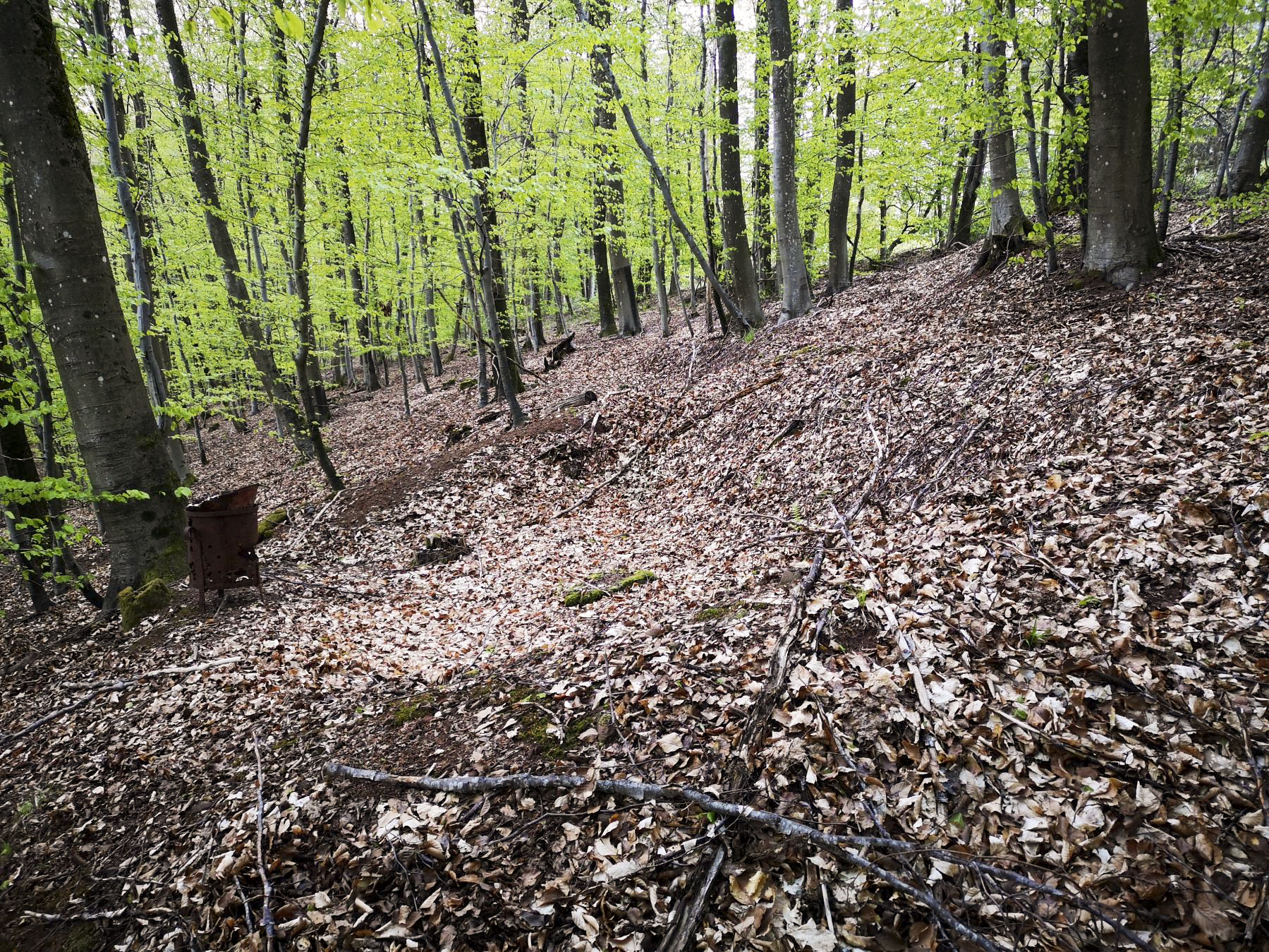 Ligne Maginot - SAUECK - (Position d'artillerie préparée) - Réseaux de tranchées et vestiges de poêle à bois - DK_Antoine4