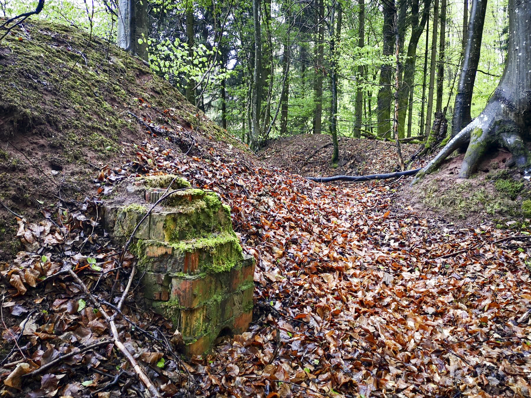Ligne Maginot - SAUECK - (Position d'artillerie préparée) - Vestiges d'une cheminée d'un probable abri - DK_Antoine4