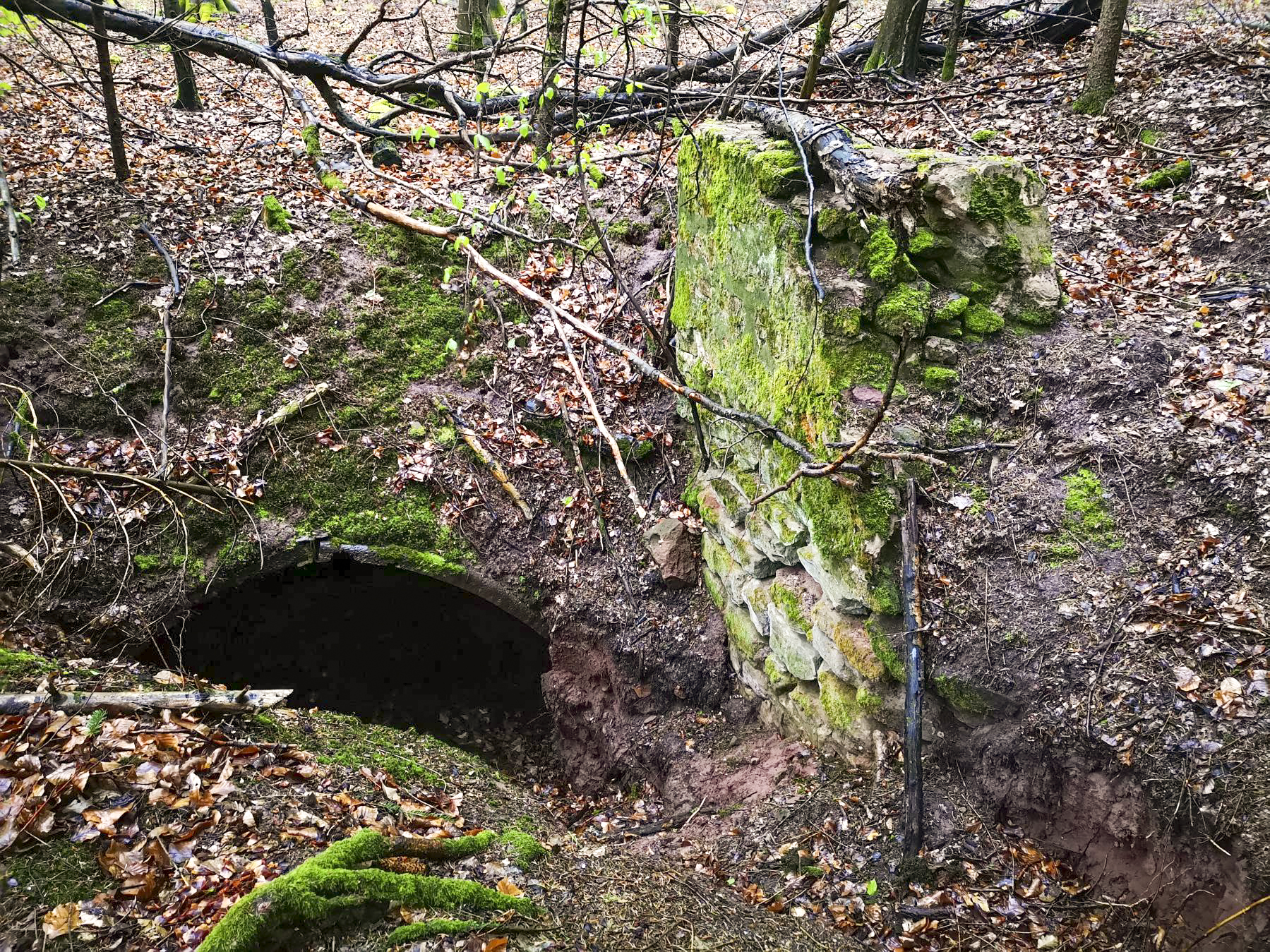 Ligne Maginot - SAUECK - (Position d'artillerie préparée) - Deuxième abri en tôle métro avec vestiges de mur à droite - DK_Antoine4