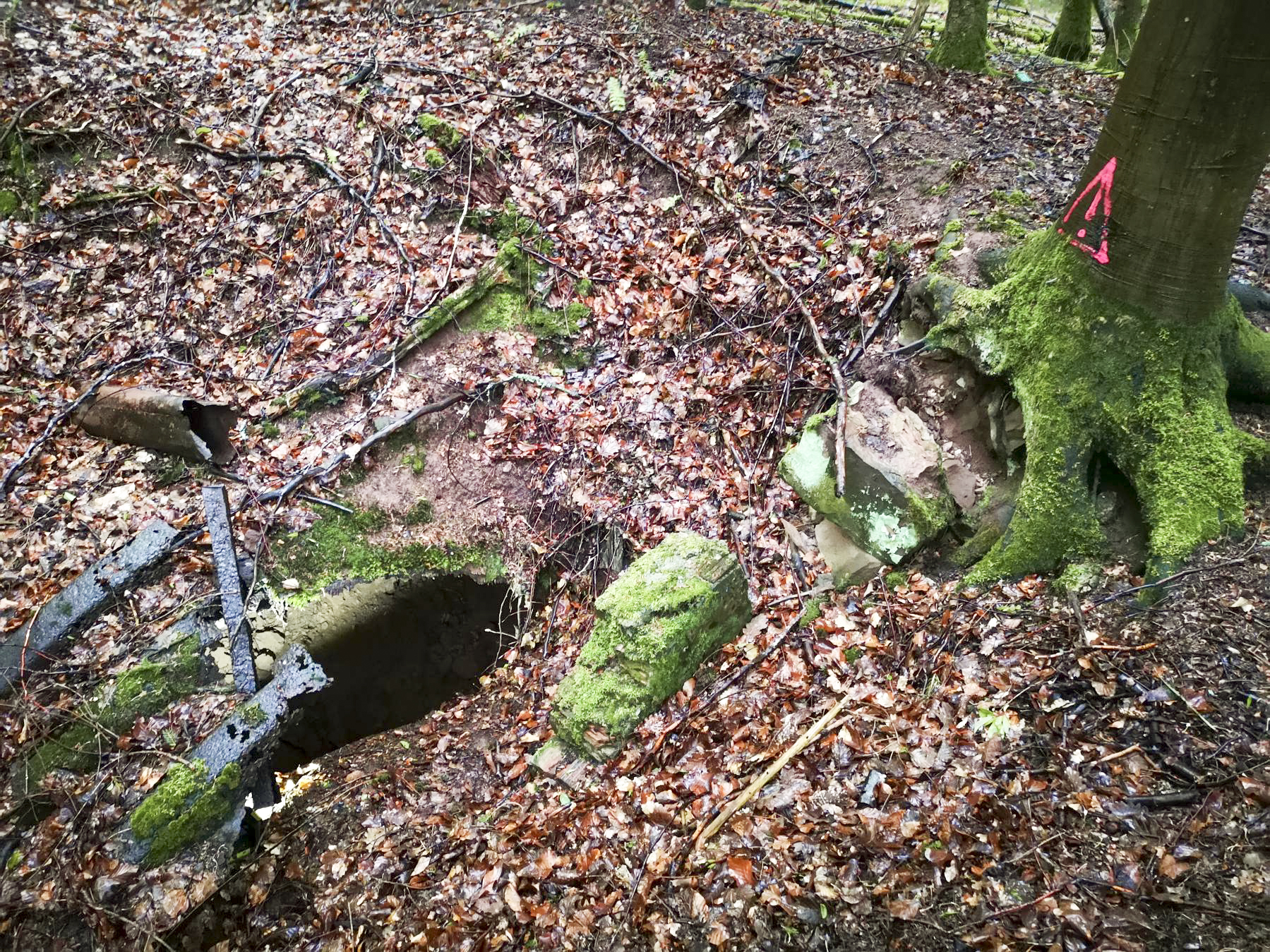 Ligne Maginot - SAUECK - (Position d'artillerie préparée) - Troisième abri en tôle métro, presque entièrement enseveli - DK_Antoine4