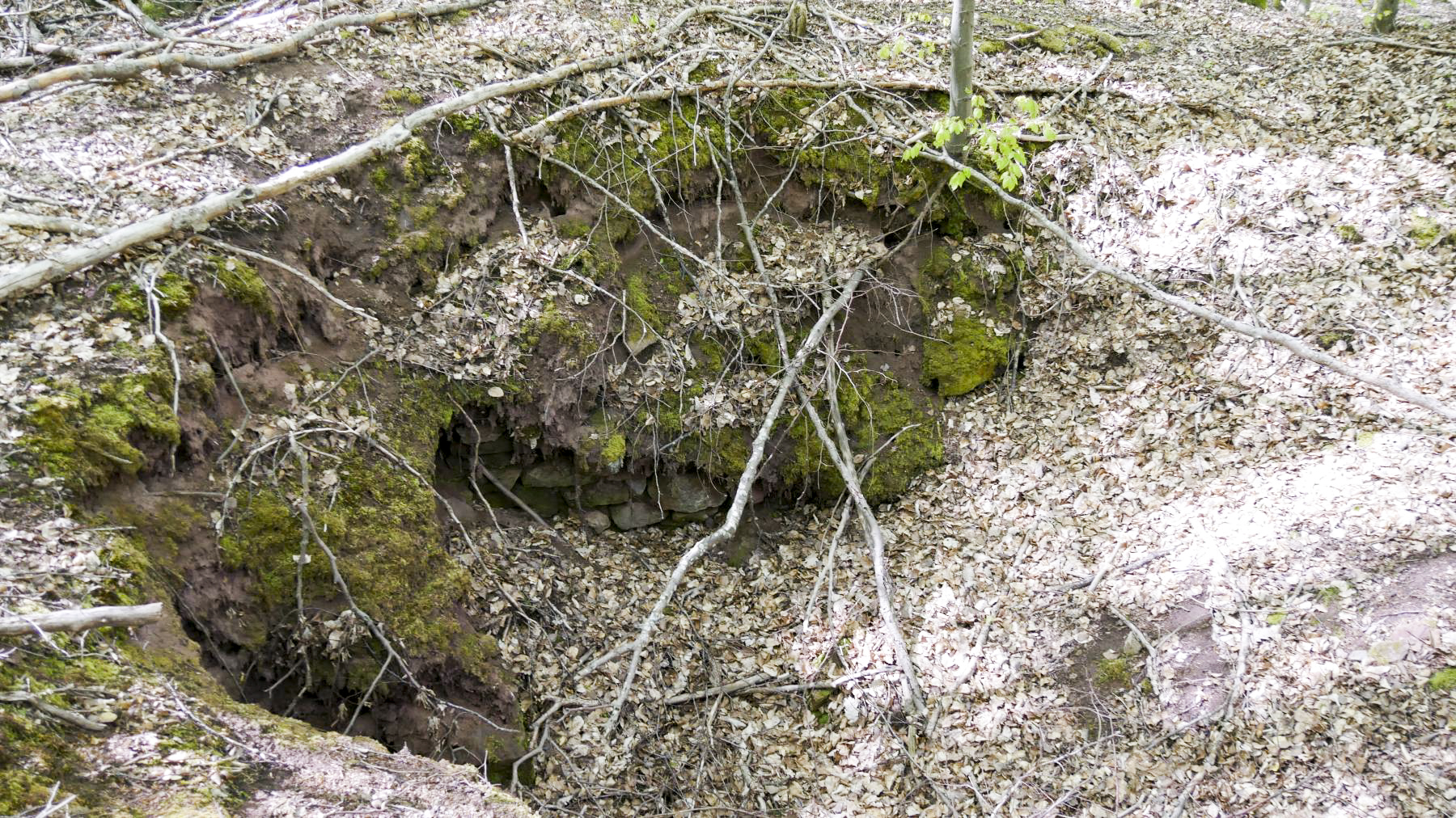 Ligne Maginot - SAUECK - (Position d'artillerie préparée) - Restes de maçonnerie dans l'un des encuvements (Position Spitzberg).

Il est très compliqué de différencier les positions françaises sur ce côté, le Spitzberg étant un champ de bataille durant l'opération Nordwind en 1945, allemands et américains y avaient aussi leurs positions. - Quentin Hiegel