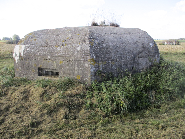 Ligne Maginot - BEF 355 - BAS DU CHEMIN DE CAMPHIN 3 - (Blockhaus pour arme infanterie) -  - Smardz Félix