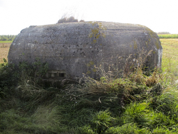 Ligne Maginot - BEF 355 - BAS DU CHEMIN DE CAMPHIN 3 - (Blockhaus pour arme infanterie) -  - Smardz Félix