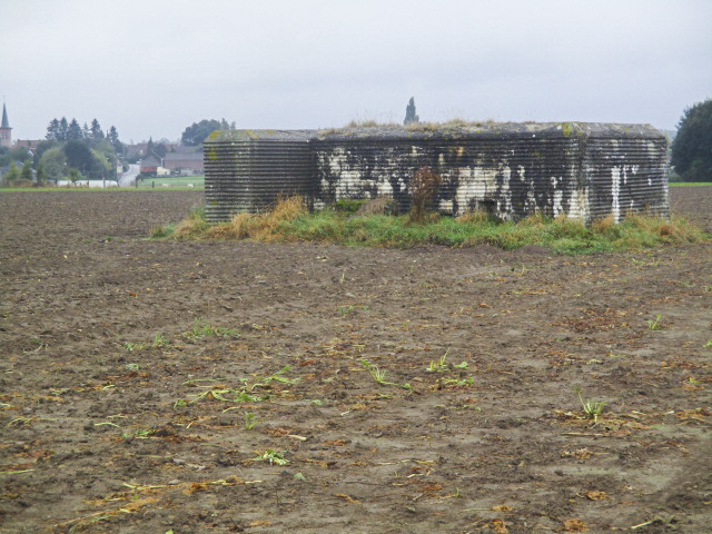 Ligne Maginot - BEF 354 - HAUT DES MARLIERES SUD - (Blockhaus pour arme infanterie) - Blockhaus est situé dans son environnement. - Smardz Félix