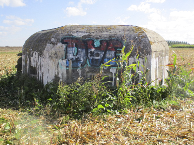 Ligne Maginot - BEF 353 - BAS DU CHEMIN DE CAMPHIN 1 - (Blockhaus pour arme infanterie) -  - Smardz Félix