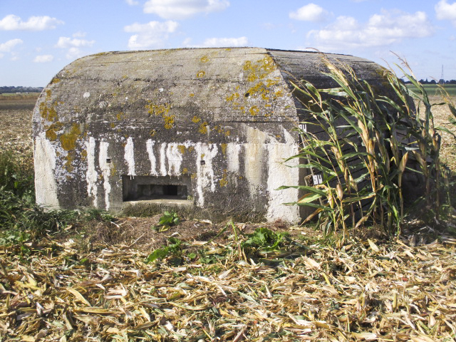 Ligne Maginot - BEF 353 - BAS DU CHEMIN DE CAMPHIN 1 - (Blockhaus pour arme infanterie) -  - Smardz Félix