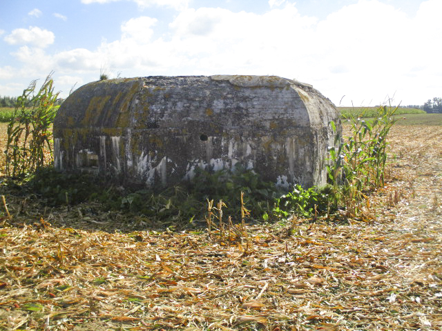 Ligne Maginot - BEF 352 - BAS DU CHEMIN DE CAMPHIN 2 - (Blockhaus pour arme infanterie) -  - Smardz Félix