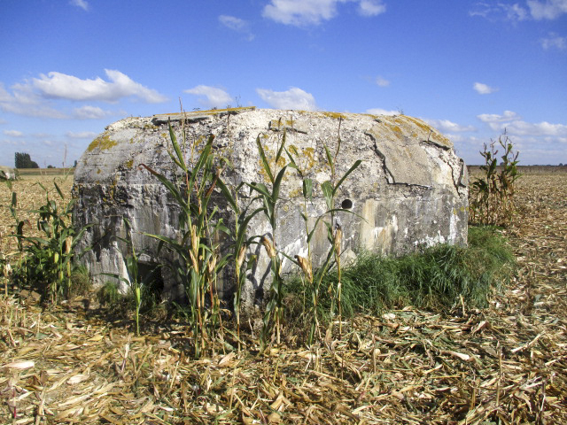 Ligne Maginot - BEF 352 - BAS DU CHEMIN DE CAMPHIN 2 - (Blockhaus pour arme infanterie) -  - Smardz Félix