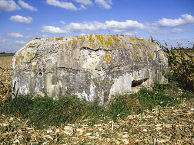 Ligne Maginot - BEF 352 - BAS DU CHEMIN DE CAMPHIN 2 - (Blockhaus pour arme infanterie) -  - Smardz Félix