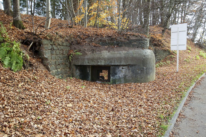 Ligne Maginot - WOLFSGARTEN (Blockhaus pour canon) -  - GRUBER Franck