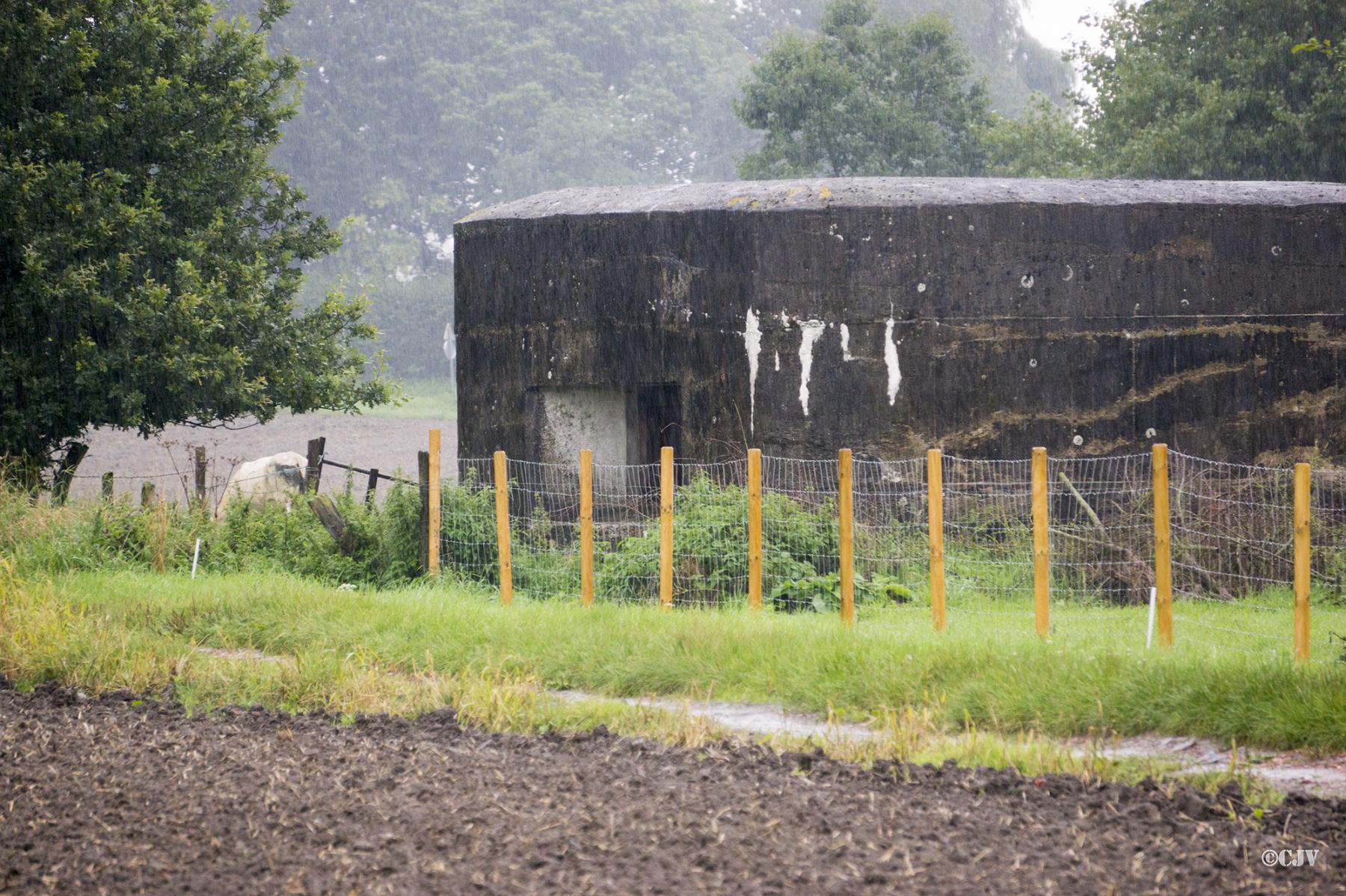 Ligne Maginot - BEF 361 - LE MAZET - (Blockhaus pour canon) -  - Lia VERMEULEN