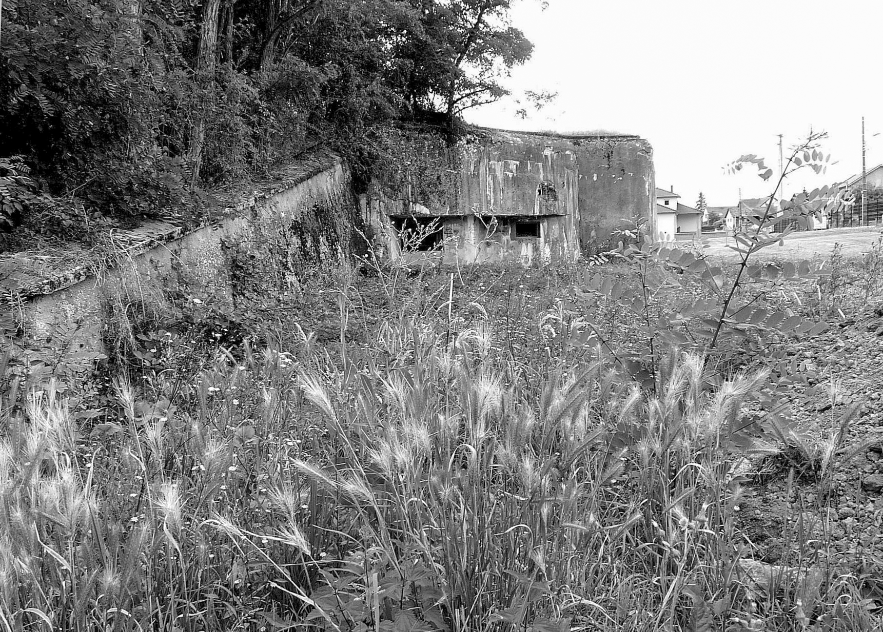 Ligne Maginot - MC32 - STG E - (Casemate d'infanterie - double) -  - Sylvie Laure LAMBERT