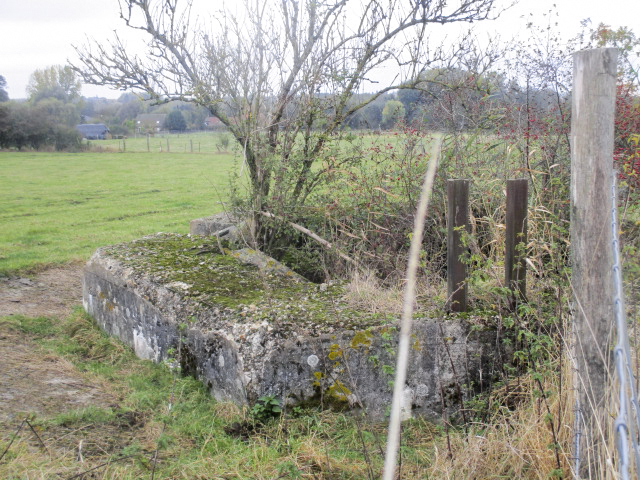 Ligne Maginot - BEF 397 - BOIS DES AULNOIS NORD 1 - (Blockhaus pour arme infanterie) -  - Smardz Félix