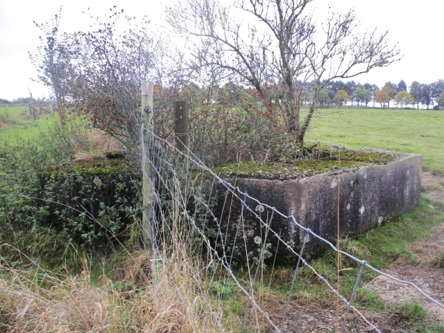 Ligne Maginot - BEF 397 - BOIS DES AULNOIS NORD 1 - (Blockhaus pour arme infanterie) - Le  blockhaus situé dans un pré empiète sur le chemin de terre - Smardz Félix