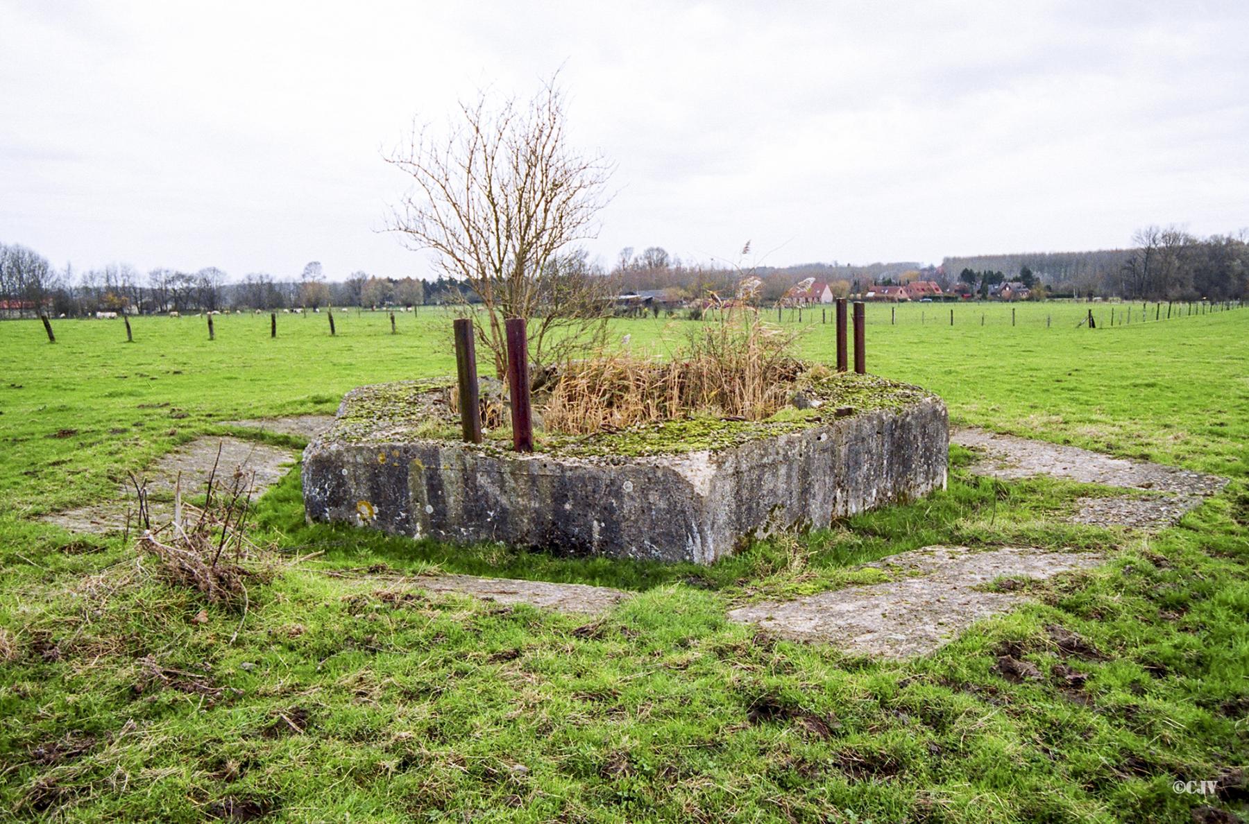 Ligne Maginot - BEF 397 - BOIS DES AULNOIS NORD 1 - (Blockhaus pour arme infanterie) -  - Caspar Vermeulen