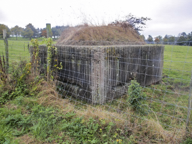 Ligne Maginot - BEF 399 - BOIS DES AULNOIS NORD 2 - (Observatoire d'artillerie) -  - Smardz Félix