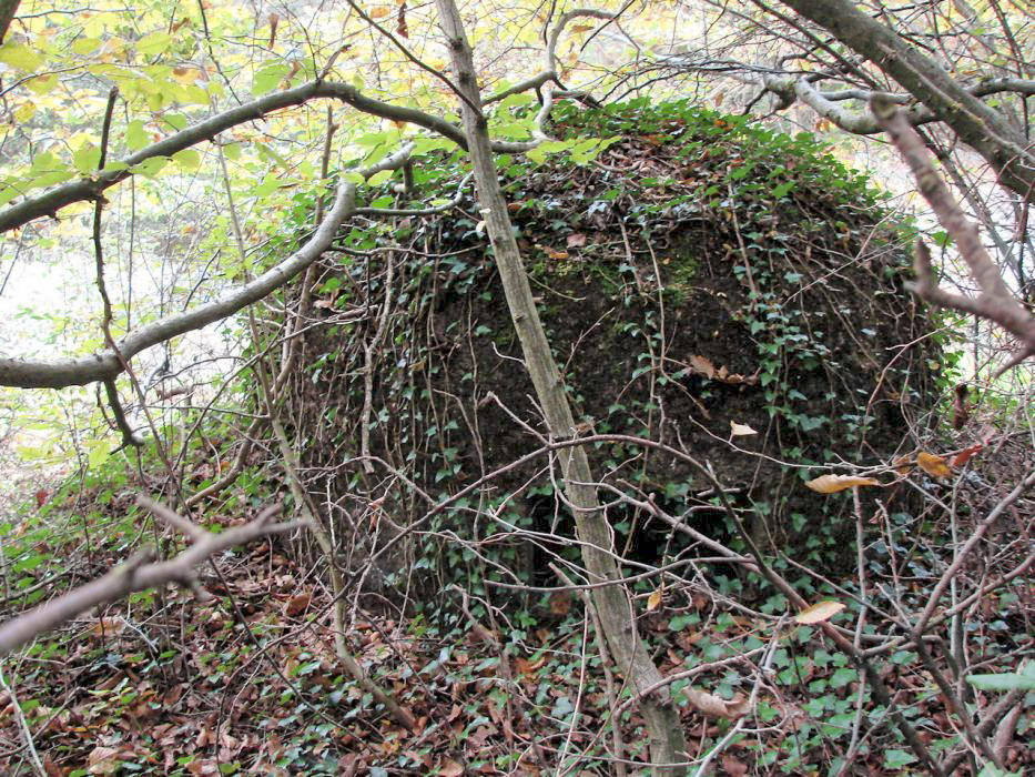 Ligne Maginot - MONT DES WELCHES - A21 - (Ouvrage d'artillerie) - Entrée munitions.
Cloche GFM. - SCHNOUPF Gregory