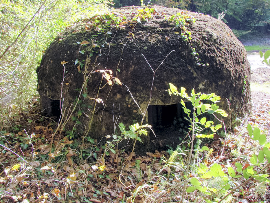 Ligne Maginot - MONT DES WELCHES - A21 - (Ouvrage d'artillerie) - Entrée munitions.
Seconde cloche GFM. - SCHNOUPF Gregory