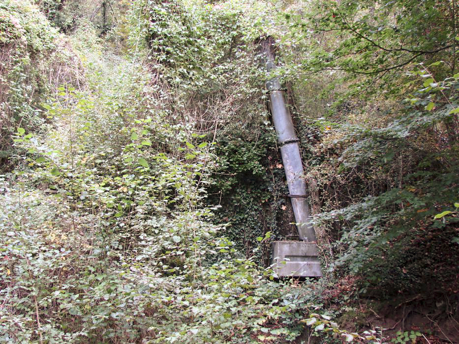 Ligne Maginot - MONT DES WELCHES - A21 - (Ouvrage d'artillerie) - Entrée des hommes
Ce qu'il en reste. L'ensemble a été merlonné et disparaît sous la végétation. - SCHNOUPF Gregory