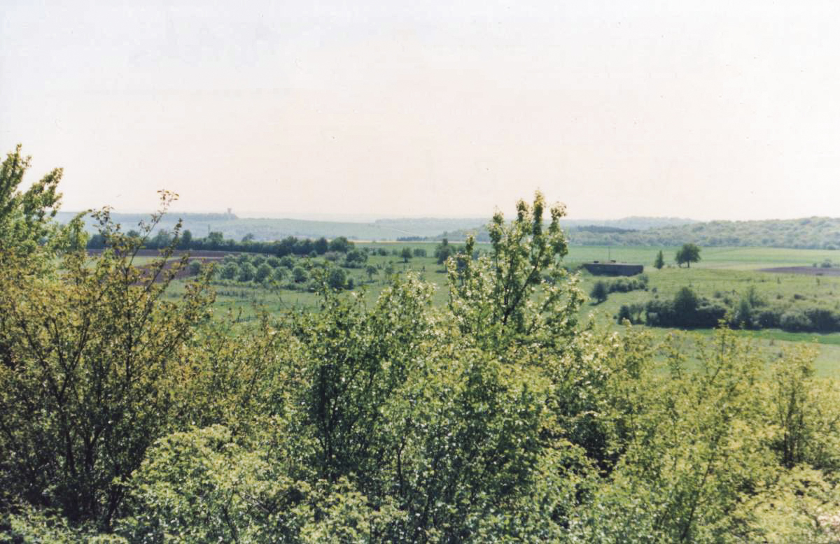 Ligne Maginot - MONT DES WELCHES - A21 - (Ouvrage d'artillerie) - Vue de bloc 1 vers la casemate de Menskirch - CHARLOT Jean Marie
