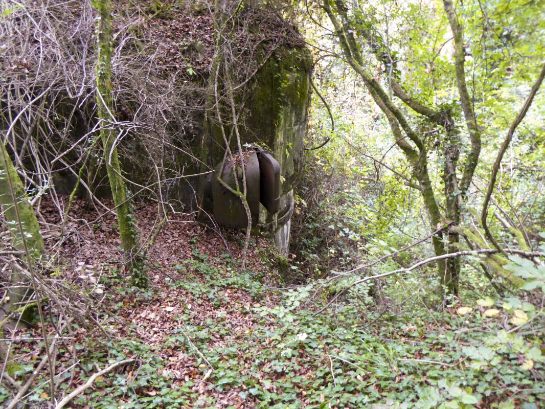 Ligne Maginot - MONT DES WELCHES - A21 - (Ouvrage d'artillerie) - Bloc 2 - ELLENA-CUNY