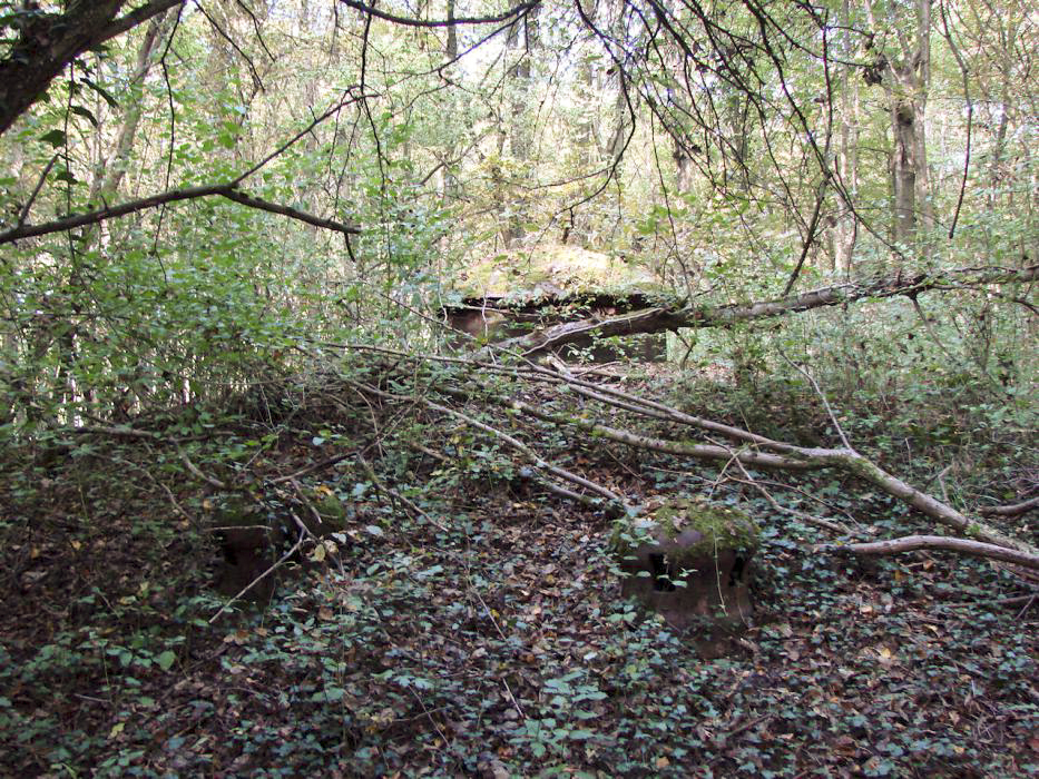 Ligne Maginot - MONT DES WELCHES - A21 - (Ouvrage d'artillerie) - Bloc 3
Deux champignons d'aération et la tourelle de mitrailleuses. - SCHNOUPF Gregory