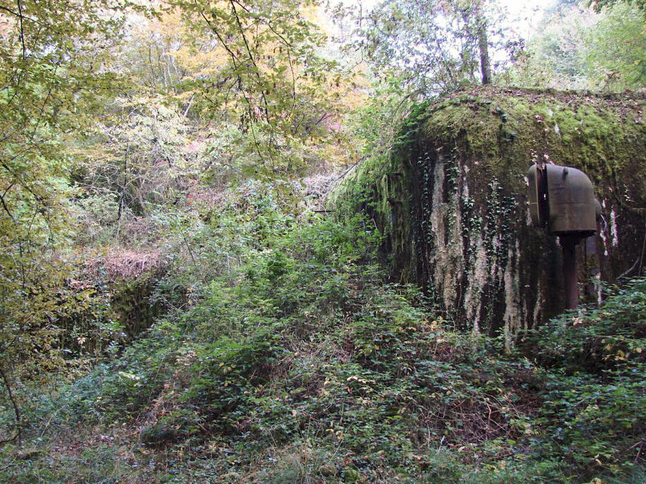Ligne Maginot - MONT DES WELCHES - A21 - (Ouvrage d'artillerie) - Bloc 4
Le bloc est entièrement merlonné et disparaît sous la végétation. - SCHNOUPF Gregory