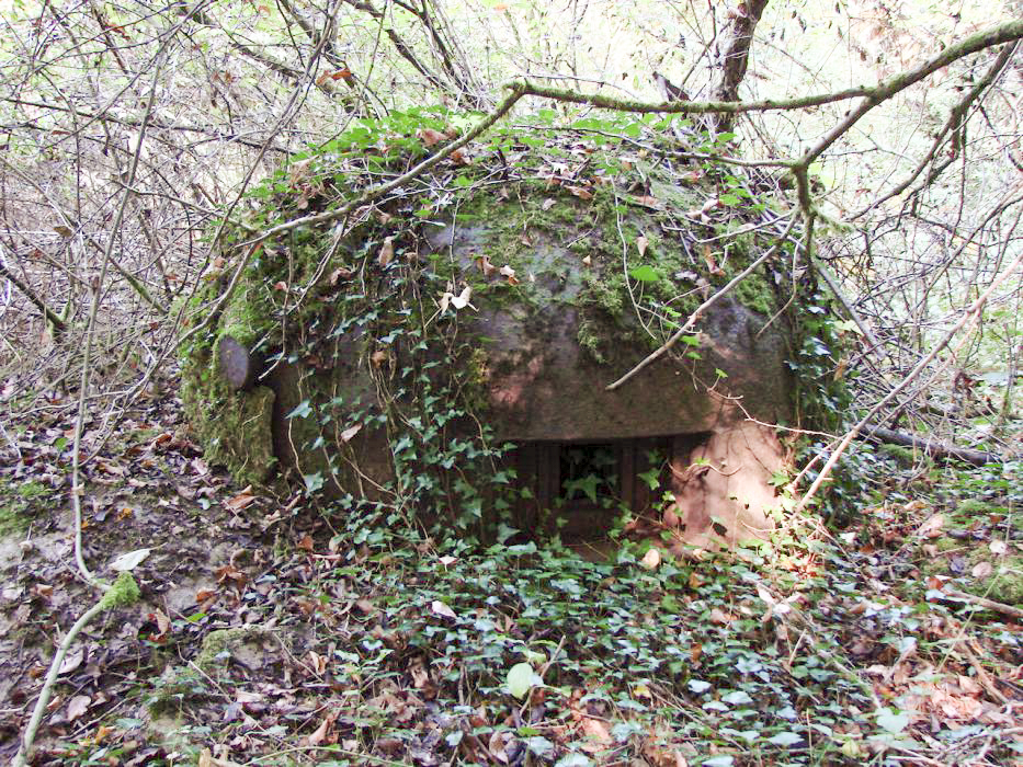 Ligne Maginot - MONT DES WELCHES - A21 - (Ouvrage d'artillerie) - Bloc 4
Une des cloches GFM. - SCHNOUPF Gregory