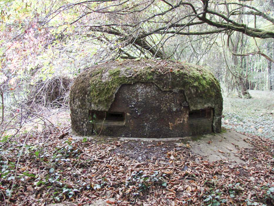 Ligne Maginot - MONT DES WELCHES - A21 - (Ouvrage d'artillerie) - Bloc 5
Cloche VDP - SCHNOUPF Gregory