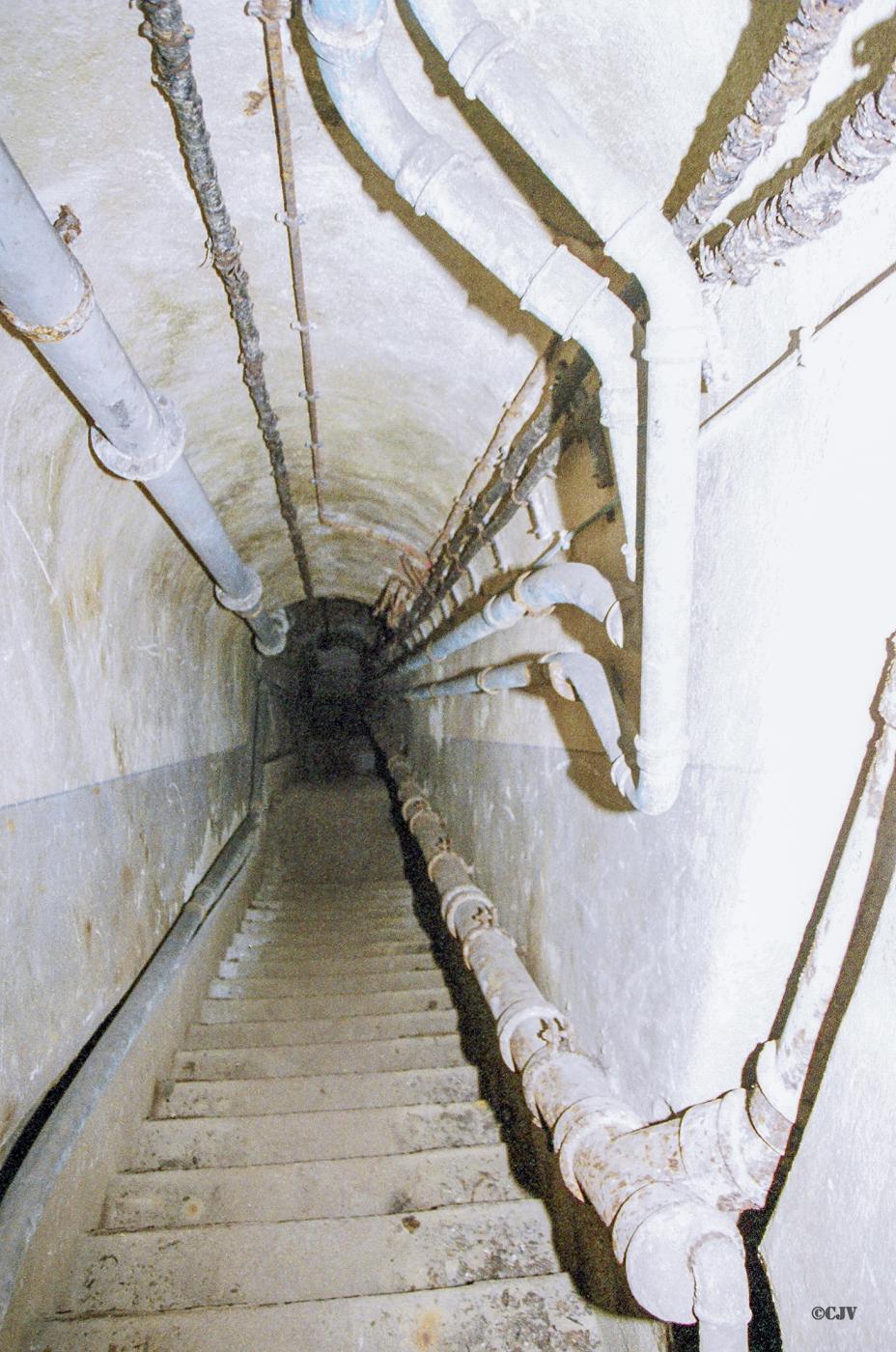 Ligne Maginot - MONT DES WELCHES - A21 - (Ouvrage d'artillerie) - Bloc 5
L'escalier vers le bloc - Lia VERMEULEN
