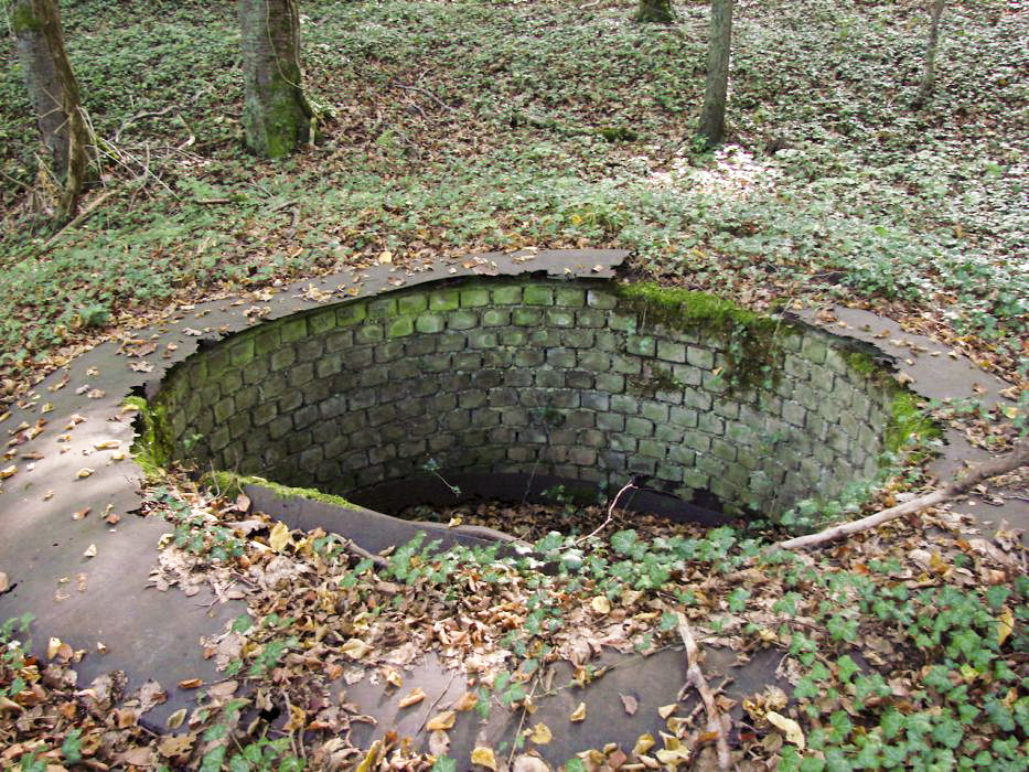 Ligne Maginot - MONT DES WELCHES - A21 - (Ouvrage d'artillerie) - Aux alentours.
Entre le bloc 2 et le bloc 3, l'emplacement d'une tourelle factice. - SCHNOUPF Gregory