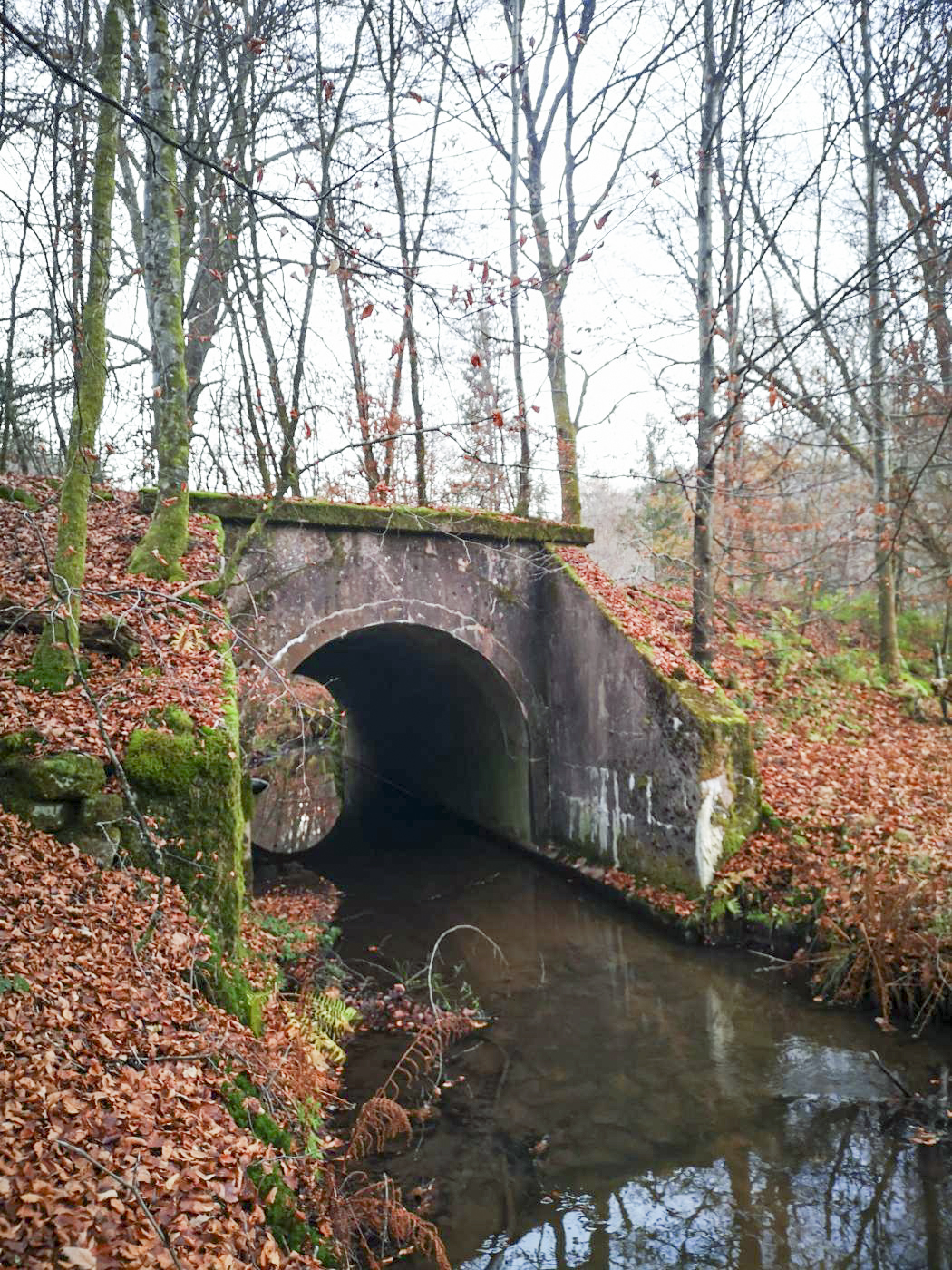 Ligne Maginot - VF60 - ANTENNE DE L'OUVRAGE DU SIMSERHOF - (RESEAU - Voie 60 - Antenne ou rocade ferroviaire) - PONT SUR LE SCHWANGERBACH
Pont de l'ancienne voie ferrée passant au dessus du Schwangerbach - DK_Antoine4