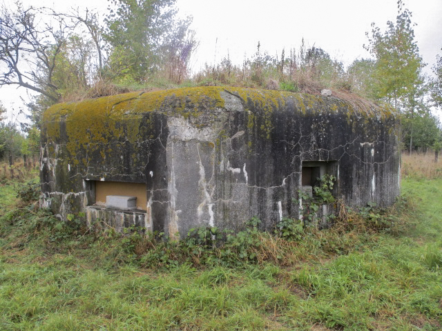 Ligne Maginot - BEF 417 - FOSSE TREHOIRE SUD - (Blockhaus pour arme infanterie) -  - Smardz Félix