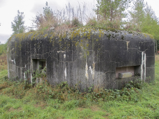 Ligne Maginot - BEF 417 - FOSSE TREHOIRE SUD - (Blockhaus pour arme infanterie) -  - Smardz Félix