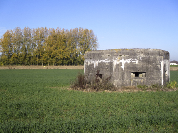 Ligne Maginot - BEF 434 - LANDAS Sud (Blockhaus pour arme infanterie) - Situé dans son environnement.
A l'arrière, blockhaus Landas nord situé dans le bosquet - Smardz Félix