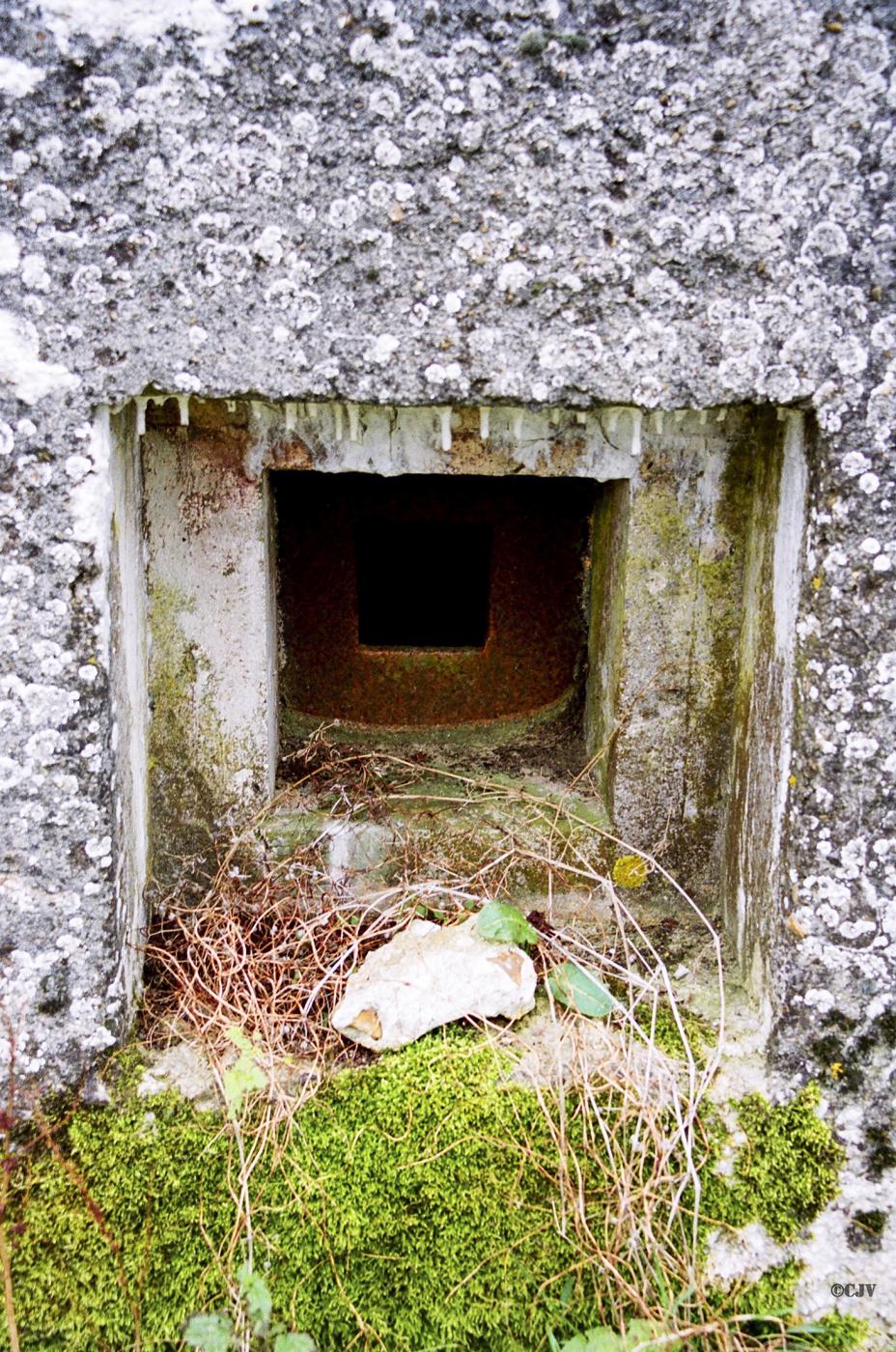 Ligne Maginot - BEF 462 - SARTAINE NORD - (Blockhaus pour arme infanterie) -  - Caspar Vermeulen