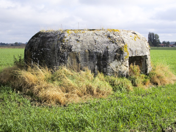 Ligne Maginot - BEF 462 - SARTAINE NORD - (Blockhaus pour arme infanterie) - Situé dans son environnement. - Smardz Félix