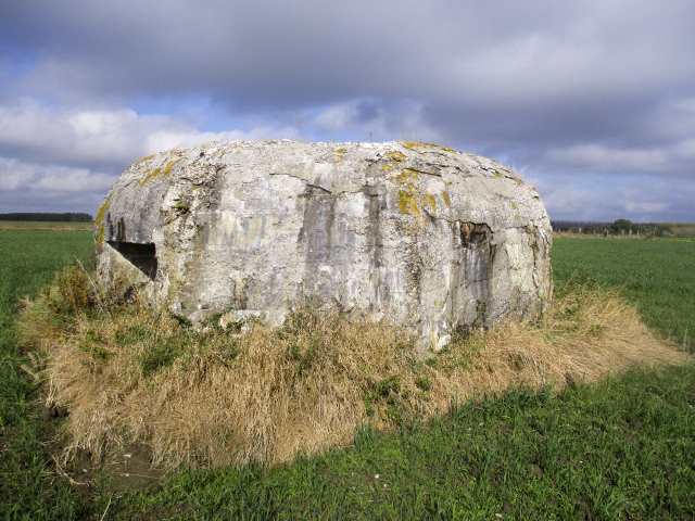 Ligne Maginot - BEF 462 - SARTAINE NORD - (Blockhaus pour arme infanterie) -  - Smardz Félix
