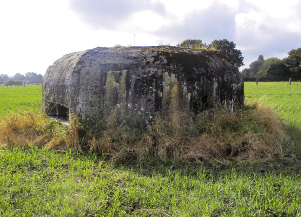 Ligne Maginot - BEF 462 - SARTAINE NORD - (Blockhaus pour arme infanterie) -  - Smardz Félix