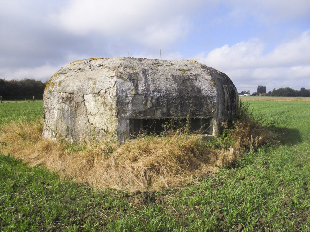 Ligne Maginot - BEF 462 - SARTAINE NORD - (Blockhaus pour arme infanterie) -  - Smardz Félix