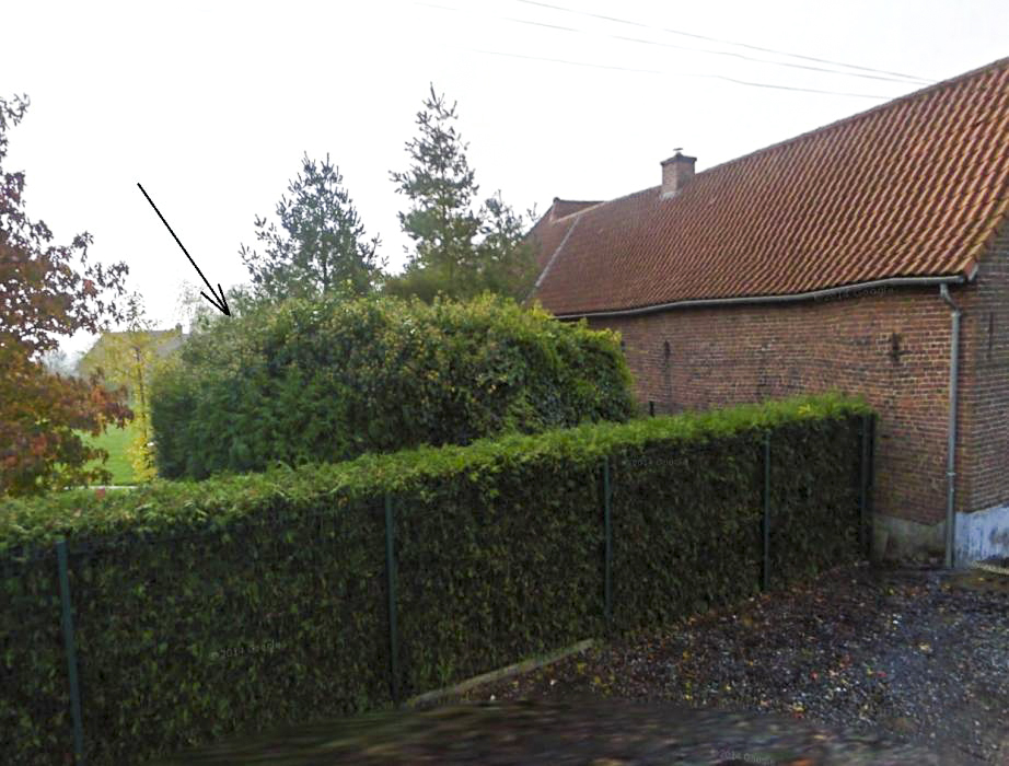 Ligne Maginot - BEF 455 - SARTAINE SUD OUEST - (Blockhaus pour arme infanterie) -  - Google Streetview