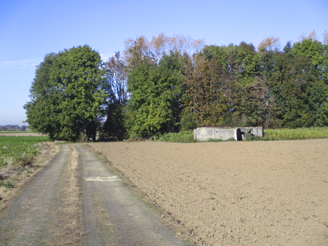 Ligne Maginot - BEF 472 - BOIS JACOB SUD - (Blockhaus pour canon) - Situé dans son environnement. - Smardz Félix
