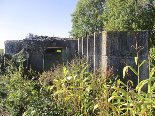Ligne Maginot - BEF 472 - BOIS JACOB SUD - (Blockhaus pour canon) -  - Smardz Félix
