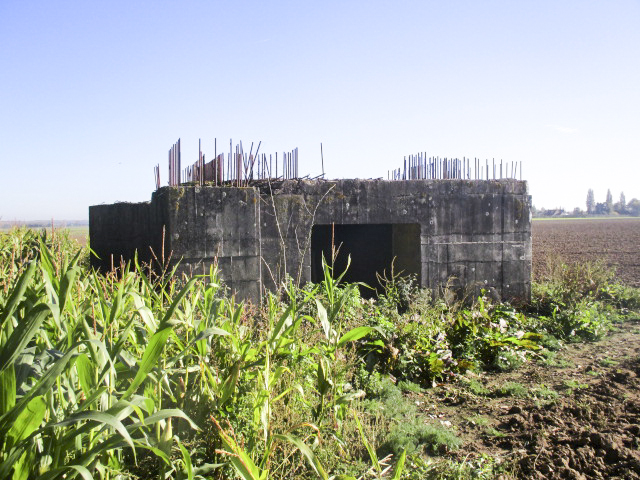 Ligne Maginot - BEF 472 - BOIS JACOB SUD - (Blockhaus pour canon) -  - Smardz Félix